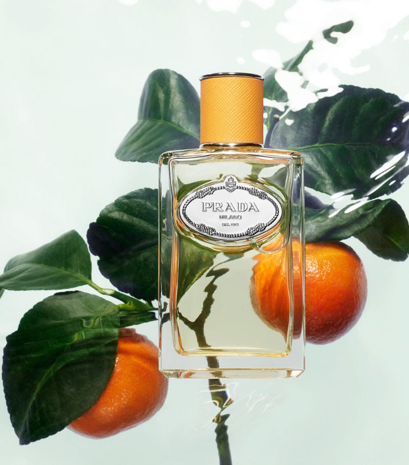Prada Milano Les Infusions De Mandarine-100ml