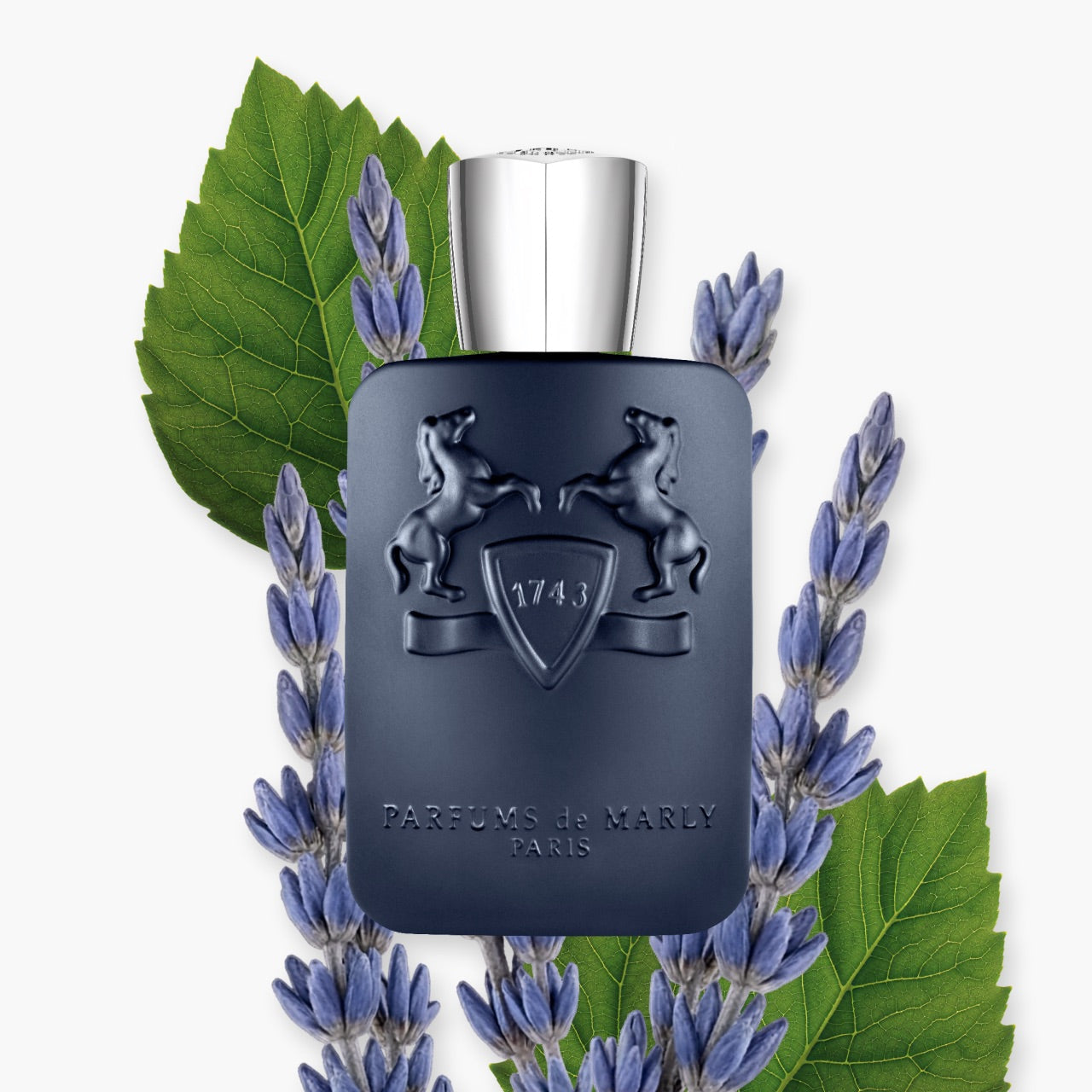Marly Layton-125ml