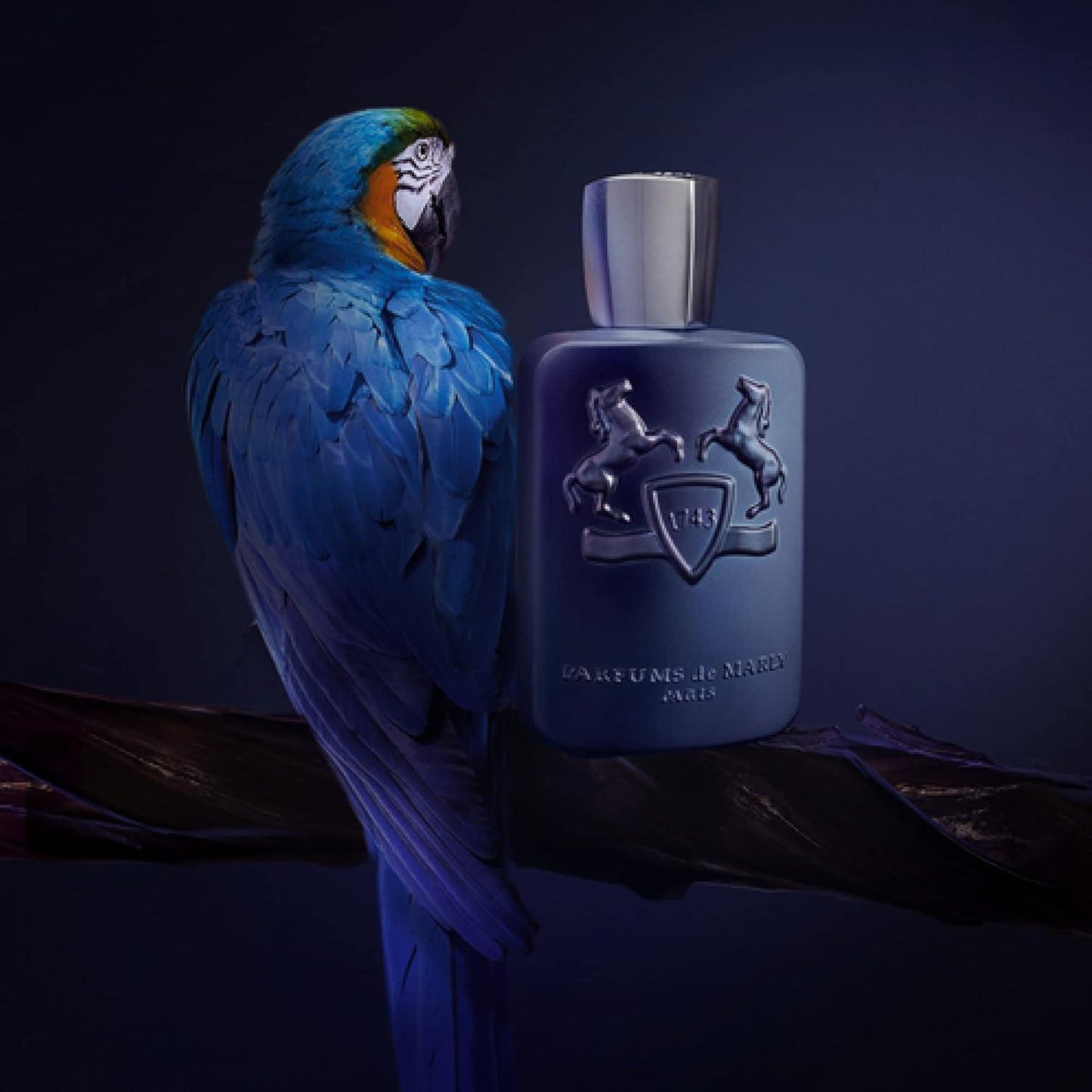 Marly Layton-125ml