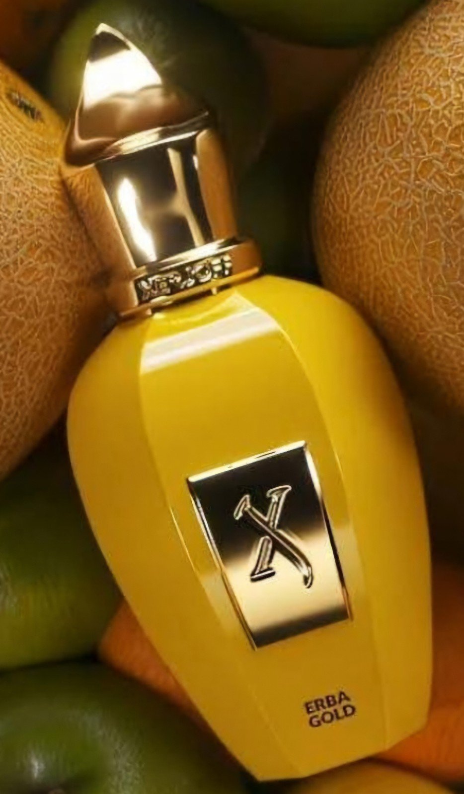 Xerjoff Erba Gold-100ml
