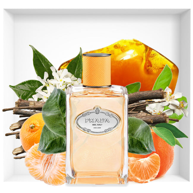 Prada Milano Les Infusions De Mandarine-100ml